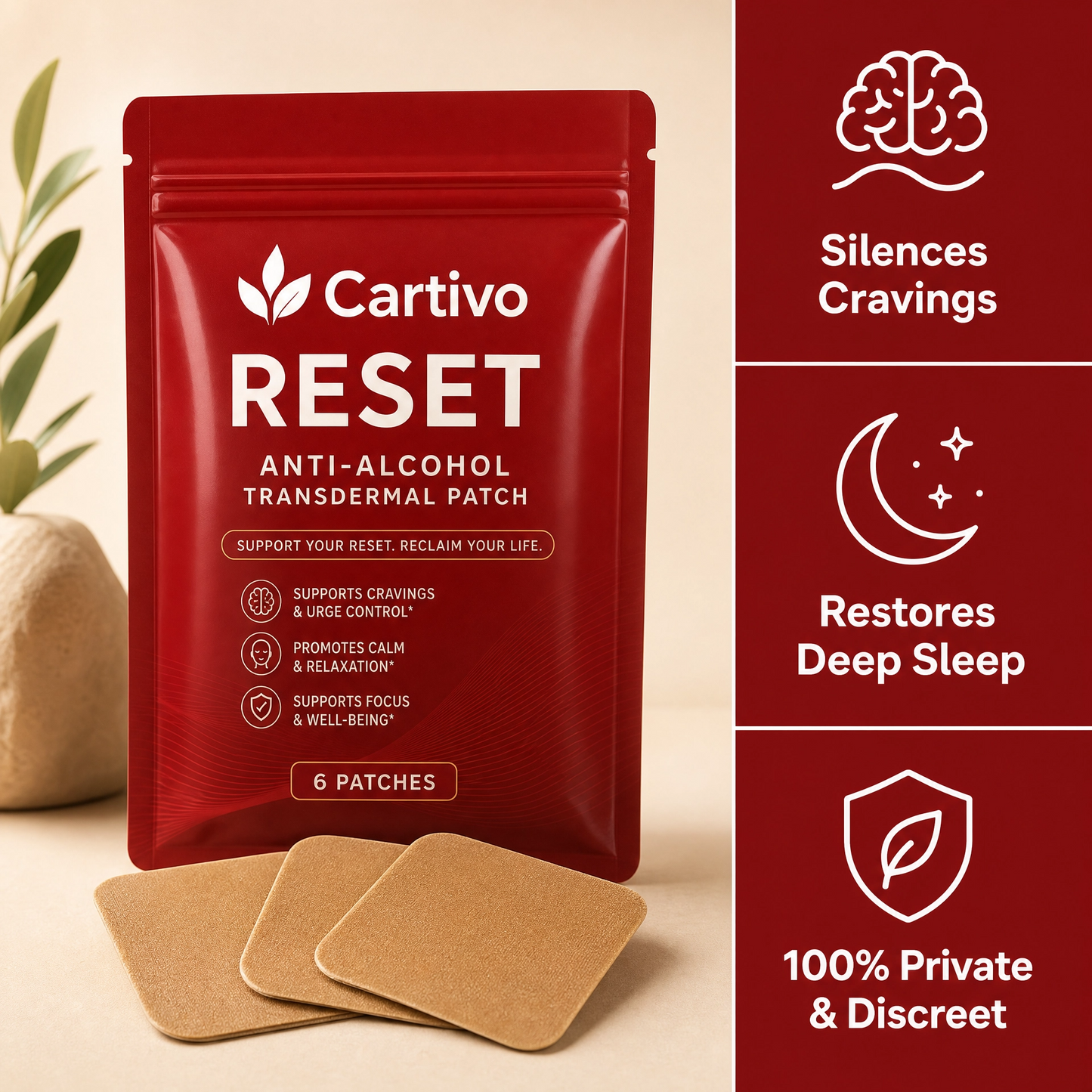 Cartivo Reset