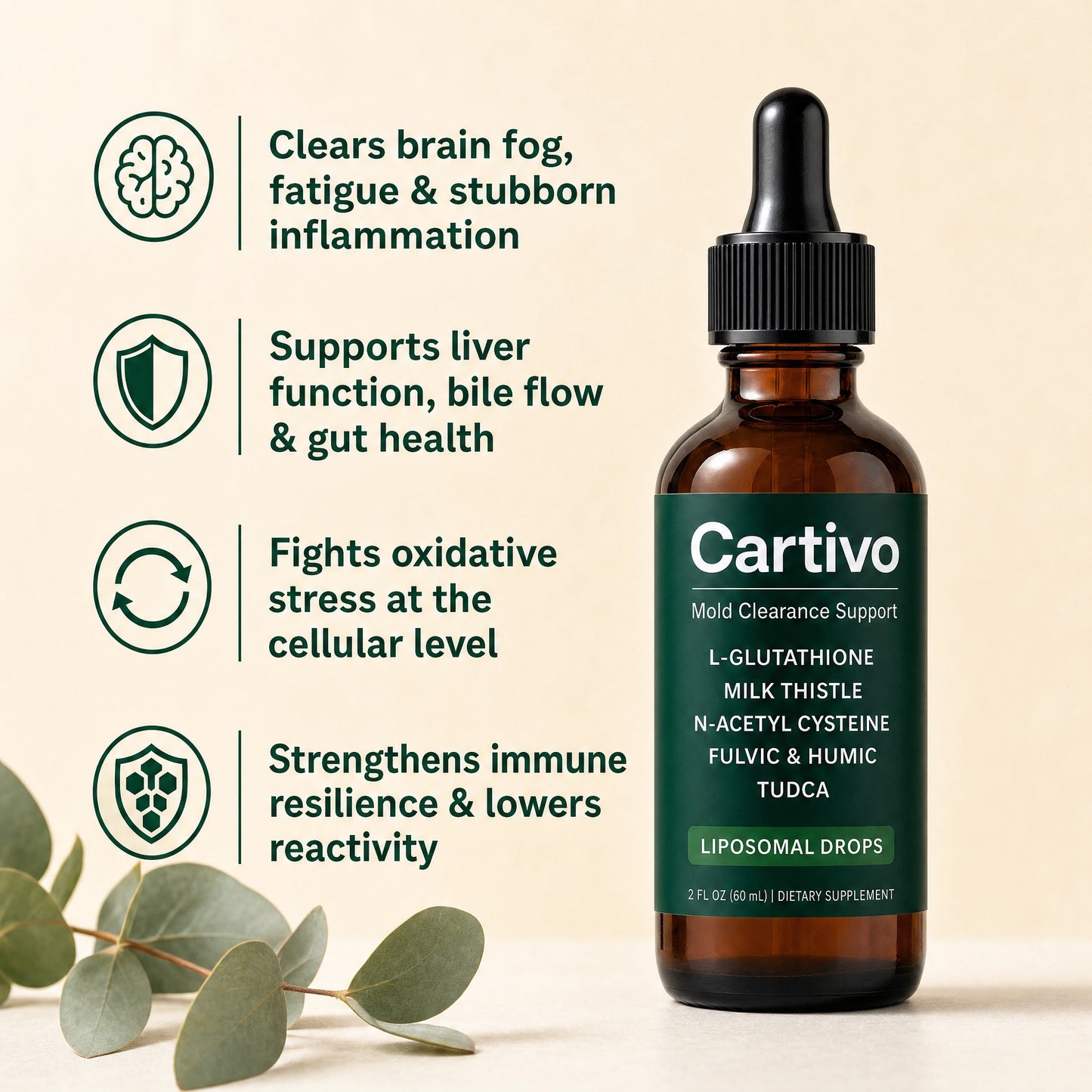 Cartivo Mold Clearance Support