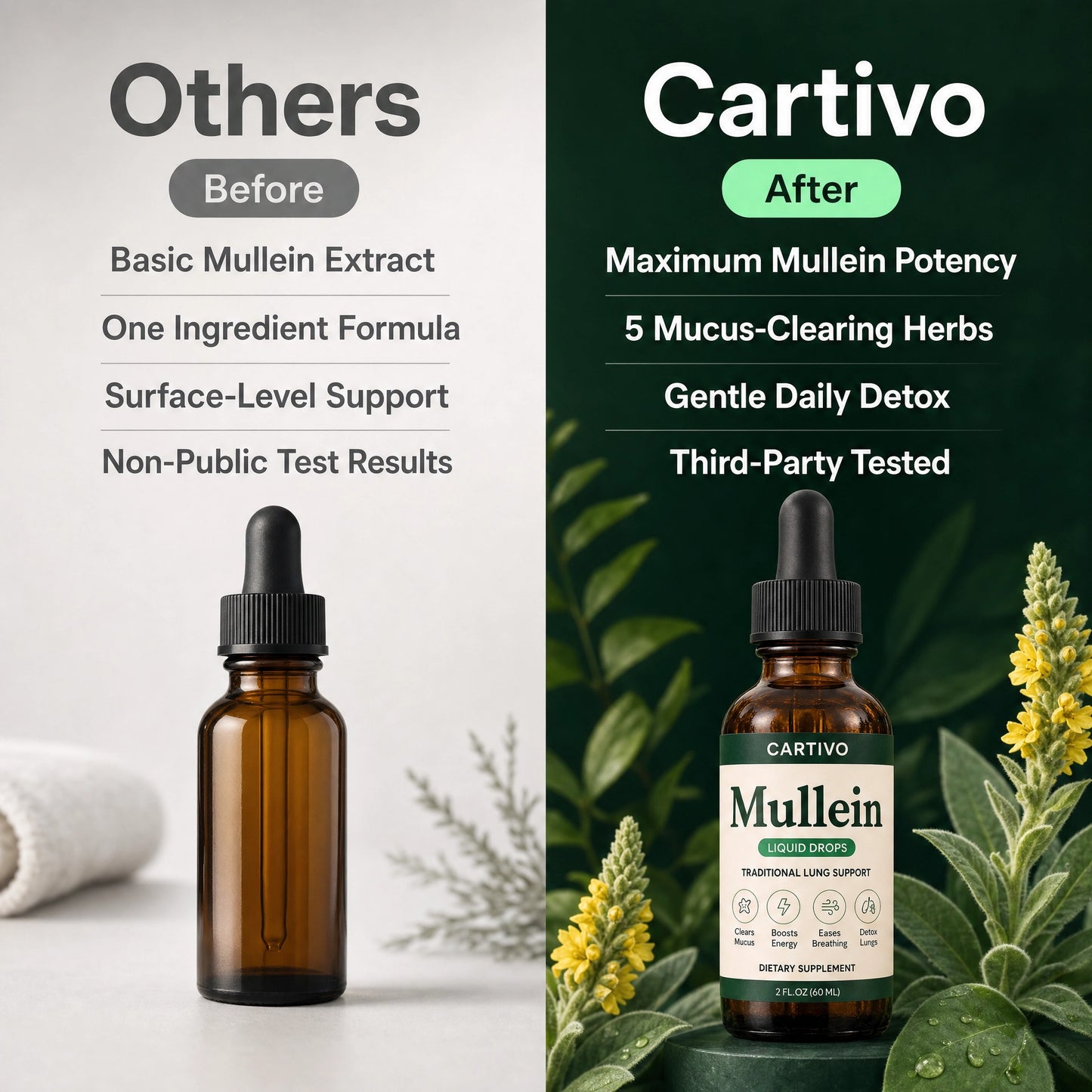 Cartivo Mullein Drops