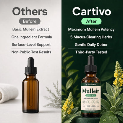 Cartivo Mullein Drops
