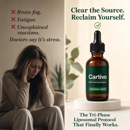 Cartivo Mold Clearance Support