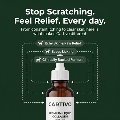 Cartivo Premium Liquid Collagen