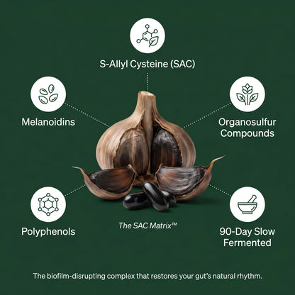 Cartivo Fermented Black Garlic Extract — Daily Rhythm Formula