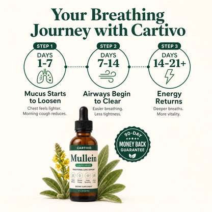 Cartivo Mullein Drops